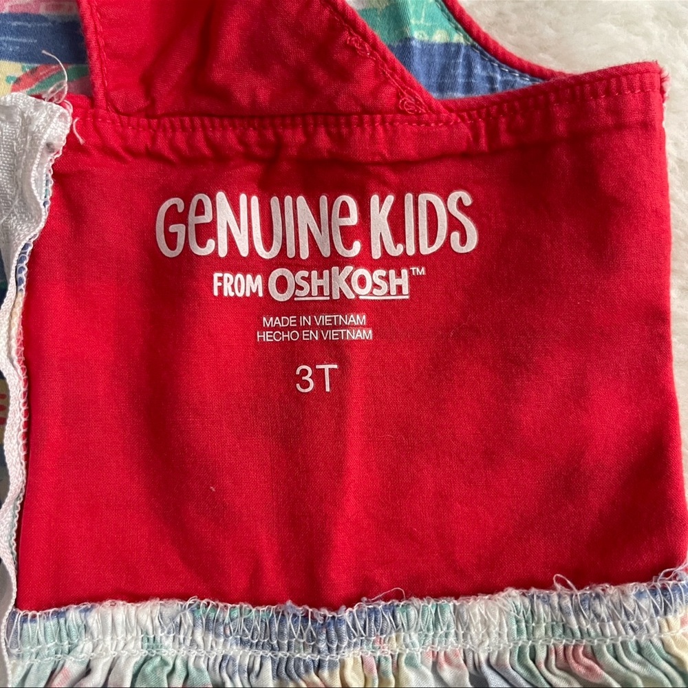 OshKosh Genuine Kids Minnesota Summer Postcard Dress Size 3T - Picture 5 of 10